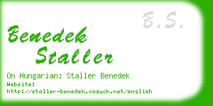 benedek staller business card